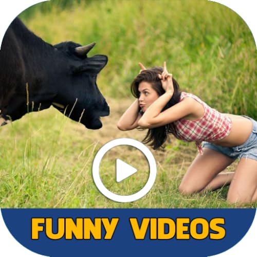 Best Funny Videos Compilation: Hilarious Entertainment Worth Your Time